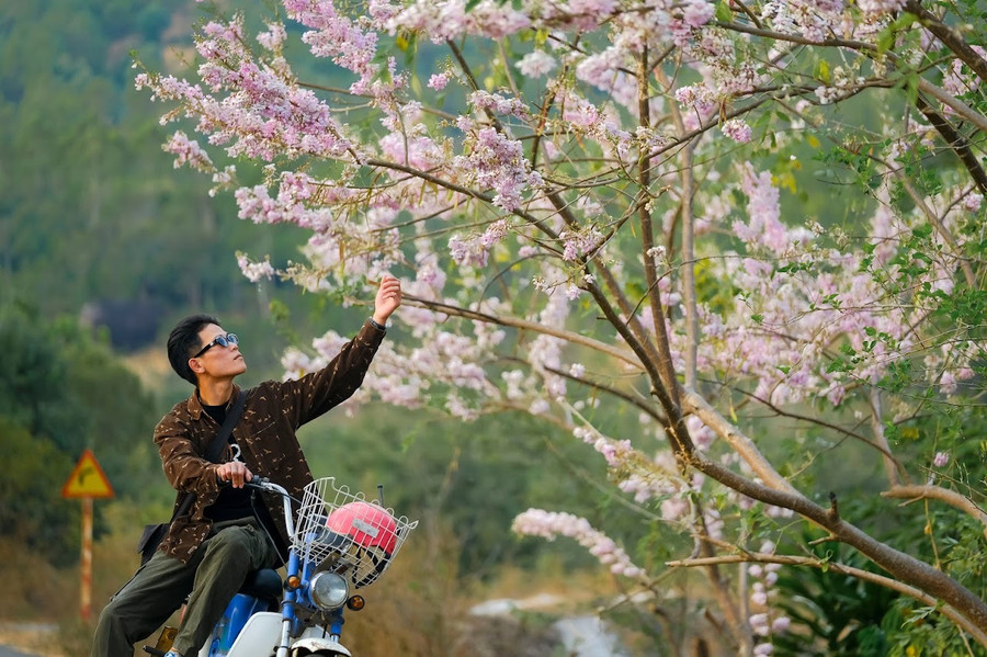 Ảnh: Bi Ly Ảnh: Bi Ly