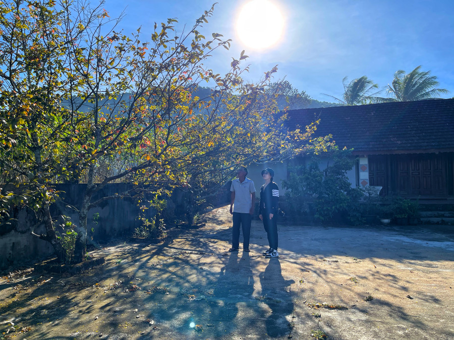 Ngôi nhà mái ngói điển hình cho nếp nhà xưa của người Việt ở miền Trung, cùng góc sân với những cội mai già chính là hình bóng quê nhà trong hành trình ly hương của nhiều gia đình như gia đình ông Đường. Ảnh: Hoàng Ngọc