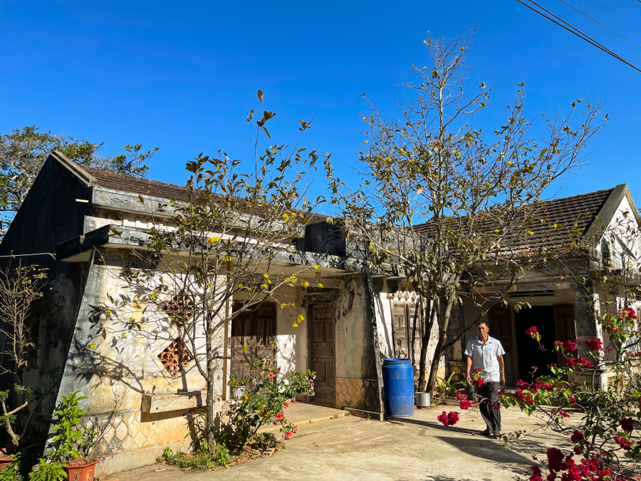 Mang theo phong tục quê kiểng nên nhà nào cũng trồng vài cây mai làm cảnh. Ảnh: Hoàng Ngọc