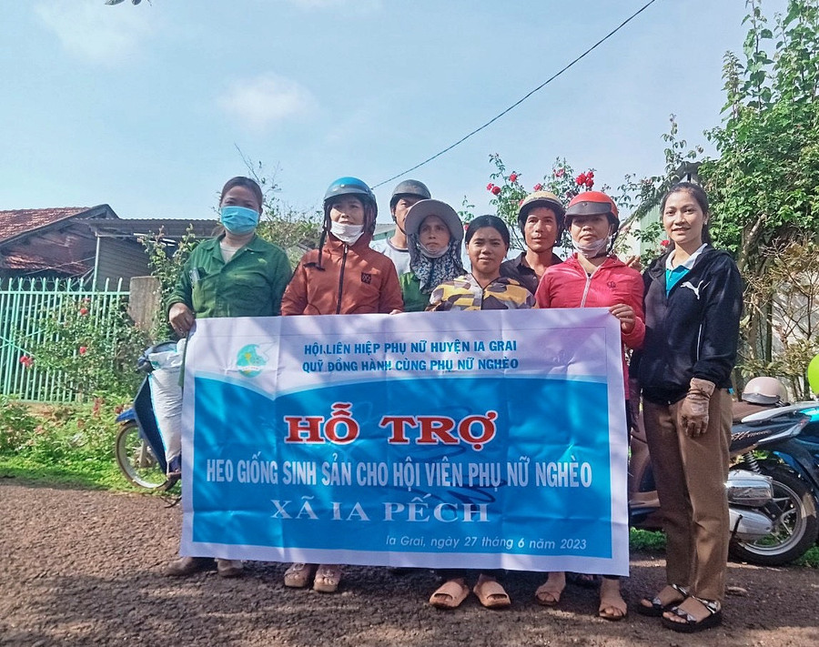 Các thành viên tổ sinh kế xã Ia Pếch sẽ hỗ trợ nhau về kinh nghiệm trong chăn nuôi để vươn lên thoát nghèo. Ảnh: Minh Châu Các thành viên tổ sinh kế xã Ia Pếch sẽ hỗ trợ nhau về kinh nghiệm trong chăn nuôi để vươn lên thoát nghèo. Ảnh: Minh Châu