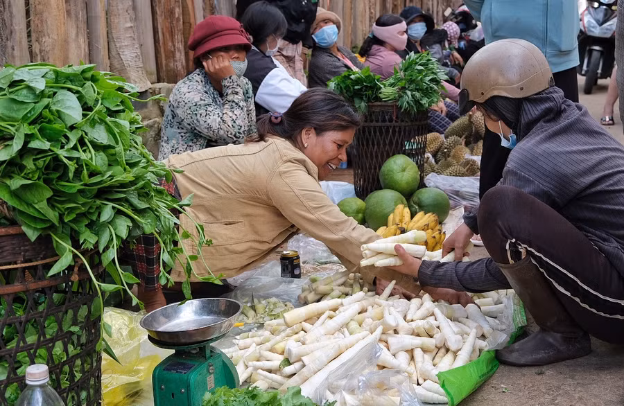 "Măng le gửi xuống, cá chuồn gửi lên" chỉ đặc sản măng le ngon trứ danh của vùng đất cao nguyên