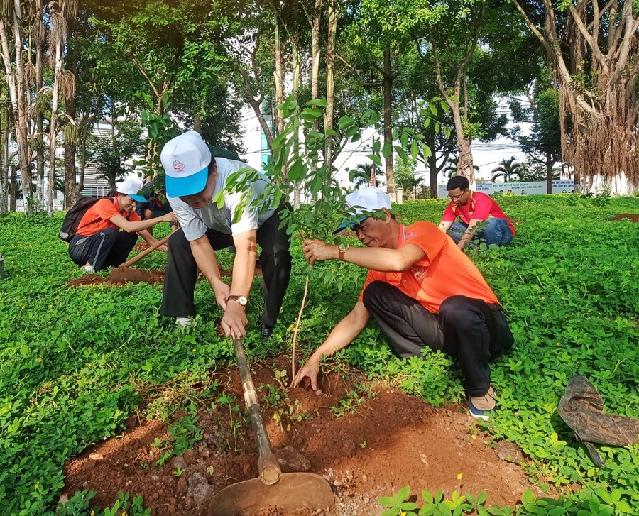 Trồng 100 cây giáng hương trong khuôn viên Quảng trường. Ảnh: Hoàng Ngọc
