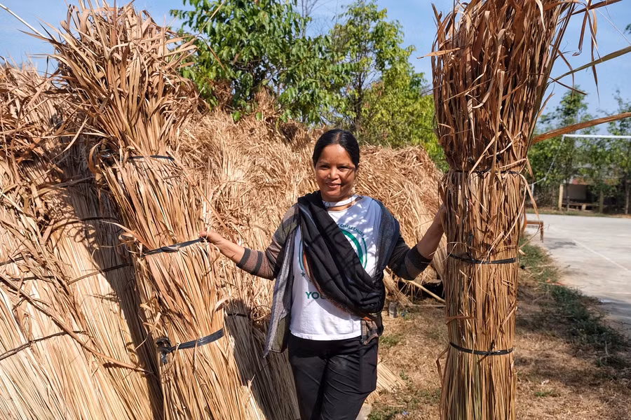 Mỗi phụ nữ trong độ tuổi lao động đóng góp 10 bó tranh để sửa ngôi nhà chung của làng. Ảnh: Hoàng Ngọc