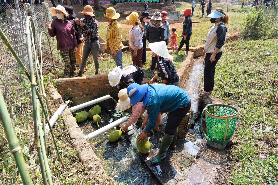 Giọt nước của làng là nơi tập trung nhiều hoạt động. Trong ảnh: Phụ nữ Bahnar xẻ mít xanh để chế biến món ăn truyền thống trong lễ hội. Ảnh: Hoàng Ngọc