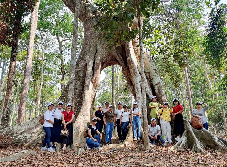 Du khách khám phá Vườn quốc gia Kon Ka Kinh-một trong 2 vùng lõi của Khu dự trữ sinh quyển thế giới Cao nguyên Kon Hà Nừng. Ảnh: Minh Châu Du khách khám phá Vườn quốc gia Kon Ka Kinh-một trong 2 vùng lõi của Khu dự trữ sinh quyển thế giới Cao nguyên Kon Hà Nừng. Ảnh: Minh Châu