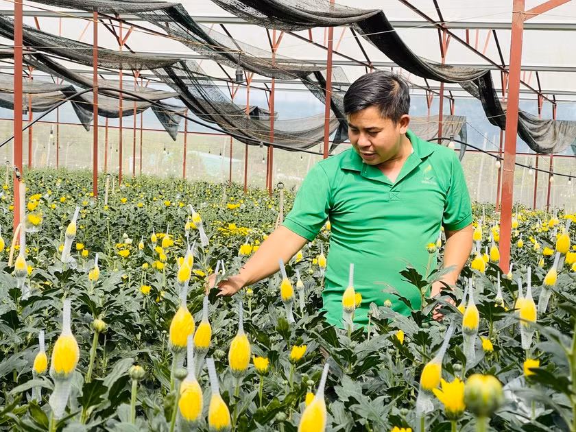 Nông dân Gia Lai ứng dụng khoa học kỹ thuật vào trồng, chăm sóc hoa giúp tăng năng suất, chất lượng sản phẩm. Ảnh Mai Ka