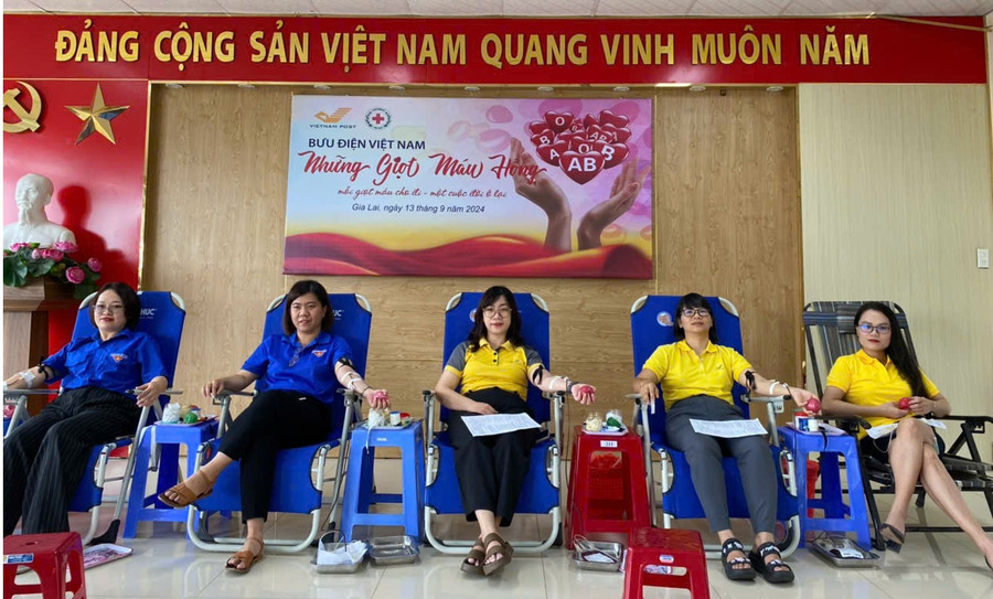 Cán bộ, nhân viên, đoàn viên thanh niên ngành Bưu điện tỉnh tham gia hiến máu. Ảnh: Hồng Ngọc Cán bộ, nhân viên, đoàn viên thanh niên ngành Bưu điện tỉnh tham gia hiến máu. Ảnh: Hồng Ngọc