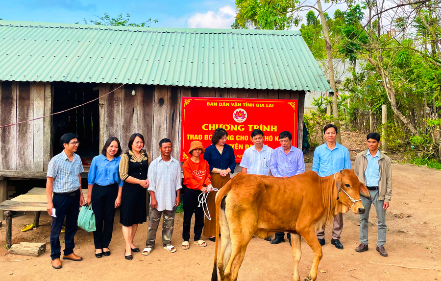 Ủy viên Ban Thường vụ Tỉnh ủy, Trưởng ban Dân vận Tỉnh ủy Gia Lai Phạm Thị Tố Hải (thứ 5 từ phải sang) tặng bò giống sinh sản cho gia đình chị Đinh Thị Blớc. Ảnh: Nguyễn Hiền