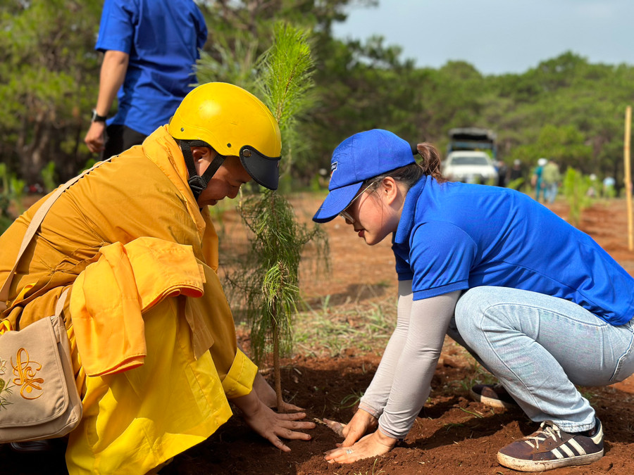 Đoàn viên, thanh niên phường Ia Kring phối hợp trồng 1.000 cây thông 3 lá trên khu đồi thông thuộc tổ 7. Ảnh: Hà Đăng