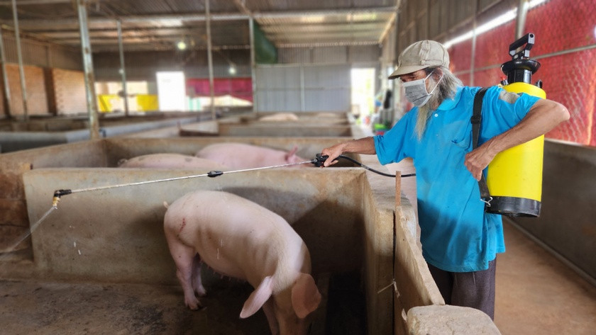 Phun hóa chất tiêu độc khử trùng khu vực chuồng trại chăn nuôi tại xã Chư Á (TP. Pleiku). Ảnh: Bá Bính Phun hóa chất tiêu độc khử trùng khu vực chuồng trại chăn nuôi tại xã Chư Á (TP. Pleiku). Ảnh: Bá Bính