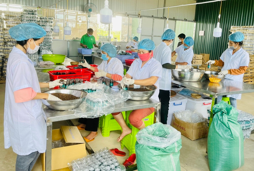 Áp dụng mã vạch truy xuất nguồn gốc, tiêu chuẩn sản phẩm giúp nâng cao giá trị hàng hóa của các hợp tác xã, cơ sở sản xuất . Ảnh: VŨ THẢO Áp dụng mã vạch truy xuất nguồn gốc, tiêu chuẩn sản phẩm giúp nâng cao giá trị hàng hóa của các hợp tác xã, cơ sở sản xuất . Ảnh: VŨ THẢO