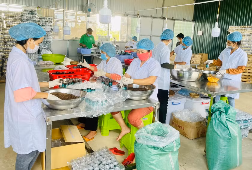 Áp dụng mã vạch truy xuất nguồn gốc, tiêu chuẩn sản phẩm giúp nâng cao giá trị hàng hóa của các hợp tác xã, cơ sở sản xuất . Ảnh: VŨ THẢO