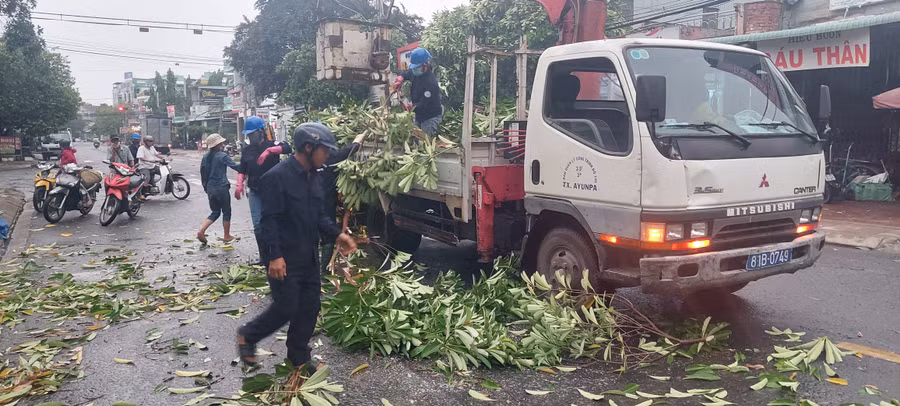 Ngay sau khi sự việc xảy ra, lực lượng chức năng đã nhanh chóng có mặt để cắt cây, dọn dẹp, giải tỏa ách tắc giao thông. Ảnh: Trần Đức
