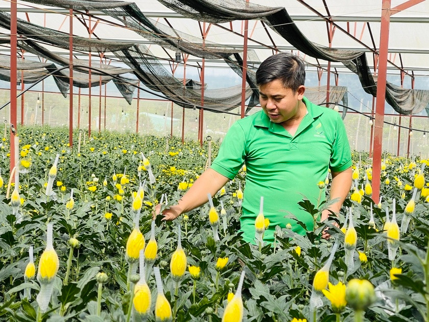 Nông dân Gia Lai ứng dụng khoa học kỹ thuật vào trồng, chăm sóc hoa giúp tăng năng suất, chất lượng sản phẩm. Ảnh Mai Ka Nông dân Gia Lai ứng dụng khoa học kỹ thuật vào trồng, chăm sóc hoa giúp tăng năng suất, chất lượng sản phẩm. Ảnh Mai Ka