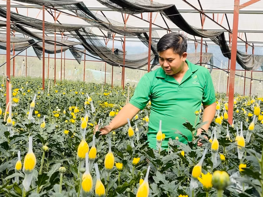 Nông dân Gia Lai ứng dụng khoa học kỹ thuật vào trồng, chăm sóc hoa giúp tăng năng suất, chất lượng sản phẩm. Ảnh Mai Ka