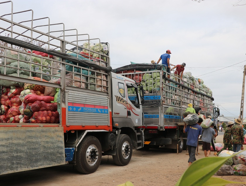 Hoạt động vận chuyển hàng hóa của Hợp tác xã Dịch vụ vận tải Đak Pơ trở lại bình thường sau Tết. Ảnh: Ngọc Minh