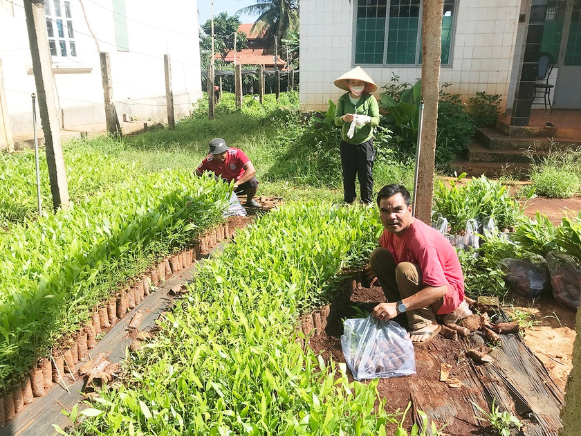Trung tâm Dịch vụ nông nghiệp huyện Đak Đoa hỗ trợ giống keo lai cho người dân trồng rừng năm 2022. Ảnh: Văn Ngọc Trung tâm Dịch vụ nông nghiệp huyện Đak Đoa hỗ trợ giống keo lai cho người dân trồng rừng năm 2022. Ảnh: Văn Ngọc