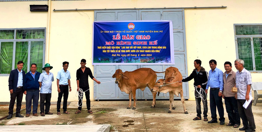 Ban thường trực Ủy ban MTTQ Việt Nam huyện Đak Pơ trao mô hình sinh kế bò giống sinh sản cho 2 hộ nghèo. Ảnh: Lan Anh Ban thường trực Ủy ban MTTQ Việt Nam huyện Đak Pơ trao mô hình sinh kế bò giống sinh sản cho 2 hộ nghèo. Ảnh: Lan Anh