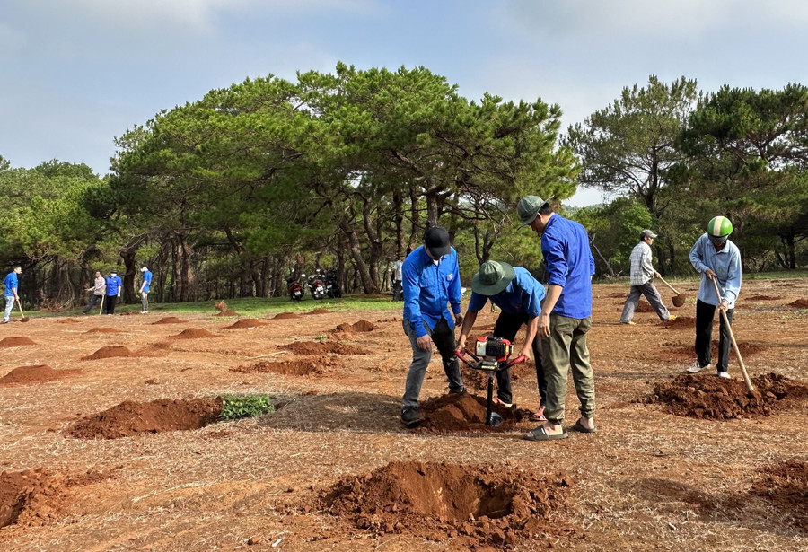 Đoàn viên, thanh niên phường Ia Kring đào hố trồng thông 3 lá. Ảnh: Hà Đăng