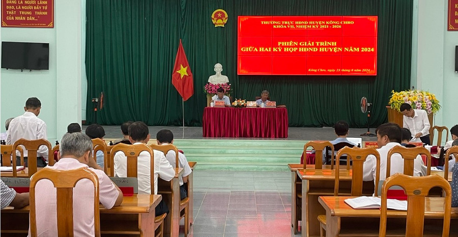 Quang cảnh phiên giải trình. Ảnh: Phương Liên