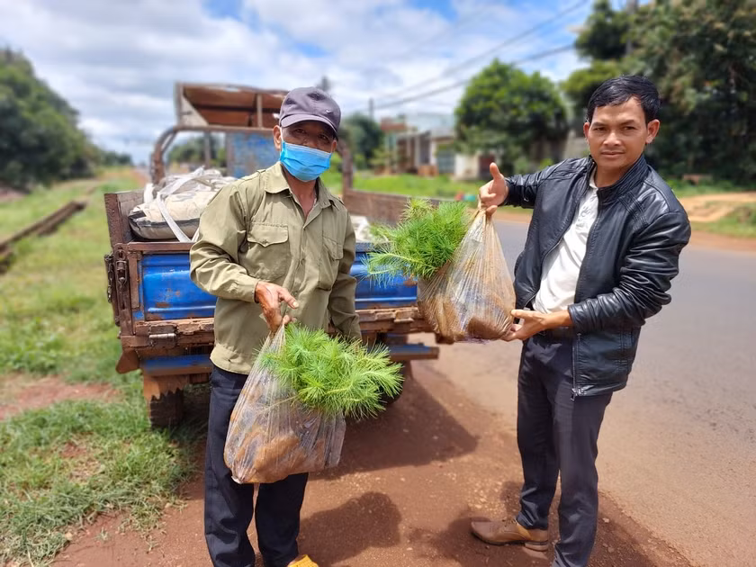 Huyện Đak Đoa hỗ trợ cây giống cho người dân các xã trồng rừng. Ảnh: Nguyễn Diệp