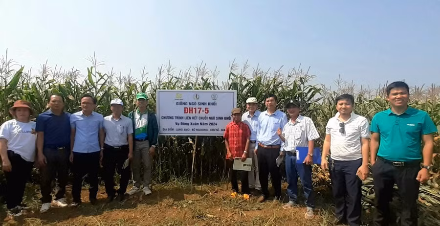 Các đại biểu và đại diện người dân làng Amo tại hội thảo đầu bờ Mô hình trồng ngô sinh khối giống ĐH 17-5. Ảnh: Hoàng Viên Các đại biểu và đại diện người dân làng Amo tại hội thảo đầu bờ Mô hình trồng ngô sinh khối giống ĐH 17-5. Ảnh: Hoàng Viên