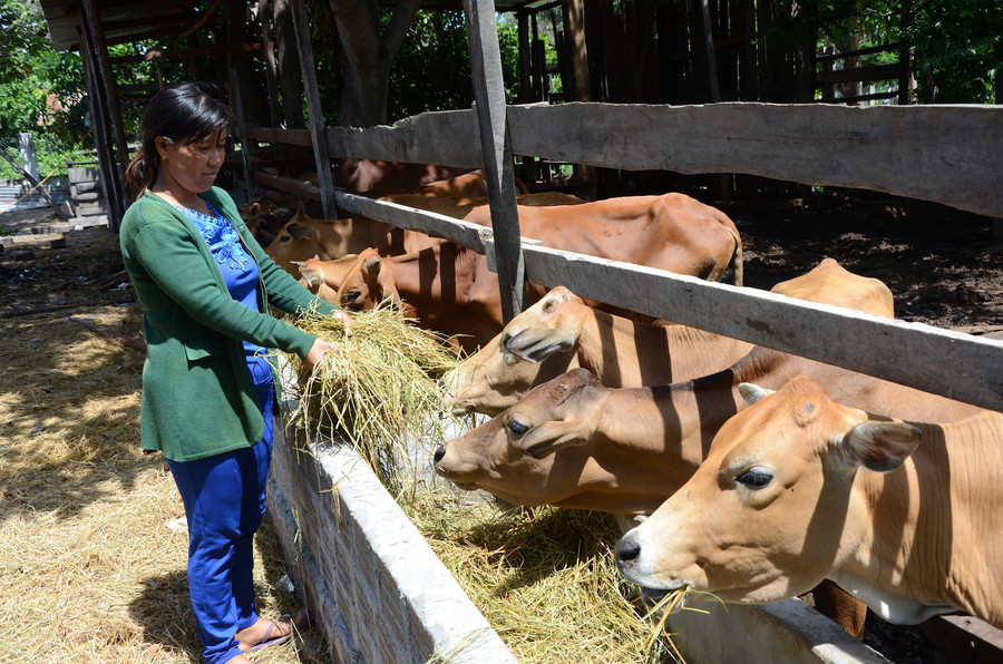Gia Lai: Bỏ cơ chế quay vòng vốn hỗ trợ cộng đồng đối với các dự án thuộc chương trình mục tiêu quốc gia ảnh 1 Gia Lai: Bỏ cơ chế quay vòng vốn hỗ trợ cộng đồng đối với các dự án thuộc chương trình mục tiêu quốc gia ảnh 1