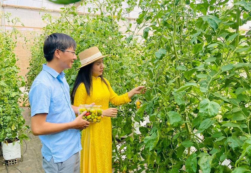 Khu thực nghiệm ứng dụng KH-CN thuộc Trung tâm Ứng dụng tiến bộ KH-CN tỉnh Gia Lai là nơi triển khai và ứng dụng kết quả nghiên cứu vào thực tiễn. Ảnh: M.K Khu thực nghiệm ứng dụng KH-CN thuộc Trung tâm Ứng dụng tiến bộ KH-CN tỉnh Gia Lai là nơi triển khai và ứng dụng kết quả nghiên cứu vào thực tiễn. Ảnh: M.K
