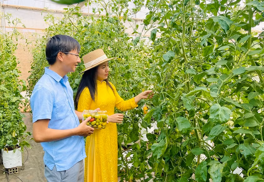 Khu thực nghiệm ứng dụng KH-CN thuộc Trung tâm Ứng dụng tiến bộ KH-CN tỉnh Gia Lai là nơi triển khai và ứng dụng kết quả nghiên cứu vào thực tiễn. Ảnh: M.K