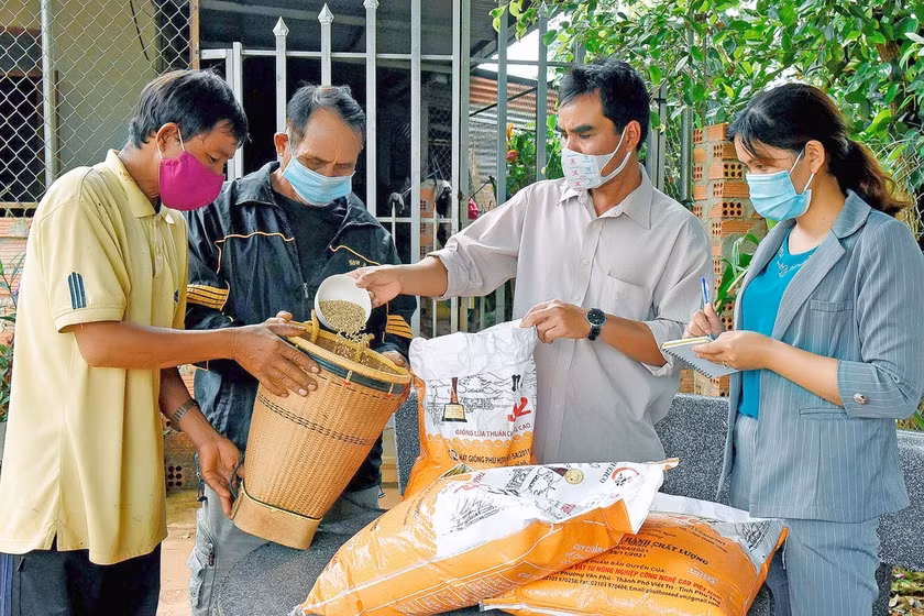 Thực hiện các chương trình MTQG, nhiều địa phương trong tỉnh đã cấp phát lúa giống cho người dân để phát triển sản xuất. Ảnh: Đ.T