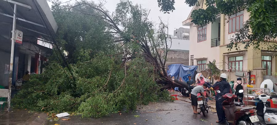 Mưa giông kèm gió lốc giật mạnh khiến 1 cây xanh cổ thụ bật gốc đổ chắn ngang đường Nguyễn Thái Học (phường Đoàn Kết, thị xã Ayun Pa), gây cản trở giao thông. Ảnh: Trần Đức