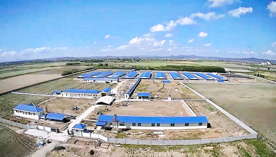 Trang trại chăn nuôi heo công nghệ cao của Công ty cổ phần nông nghiệp Navifarm tại xã Pờ Tó (huyện Ia Pa) có quy mô 14,75 ha. Ảnh: Minh Nguyễn