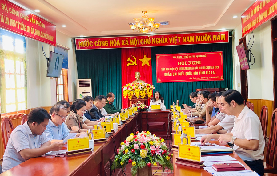 Quang cảnh hội nghị tại điểm cầu tỉnh Gia Lai. Ảnh: Trần Dung