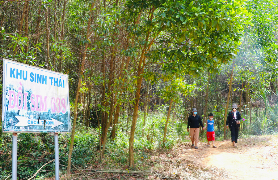 Dịp nghỉ lễ 30-4 và 1-5 năm nay, nhiều gia đình, bạn trẻ trên địa bàn thị xã An Khê tổ chức vui chơi, chinh phục đồi sim ở đầu đèo An Khê. Ảnh: An Phát Dịp nghỉ lễ 30-4 và 1-5 năm nay, nhiều gia đình, bạn trẻ trên địa bàn thị xã An Khê tổ chức vui chơi, chinh phục đồi sim ở đầu đèo An Khê. Ảnh: An Phát