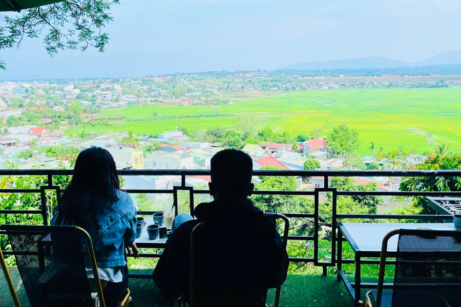 Du khách thích thú khi được ngắm cánh đồng lúa từ trên cao.