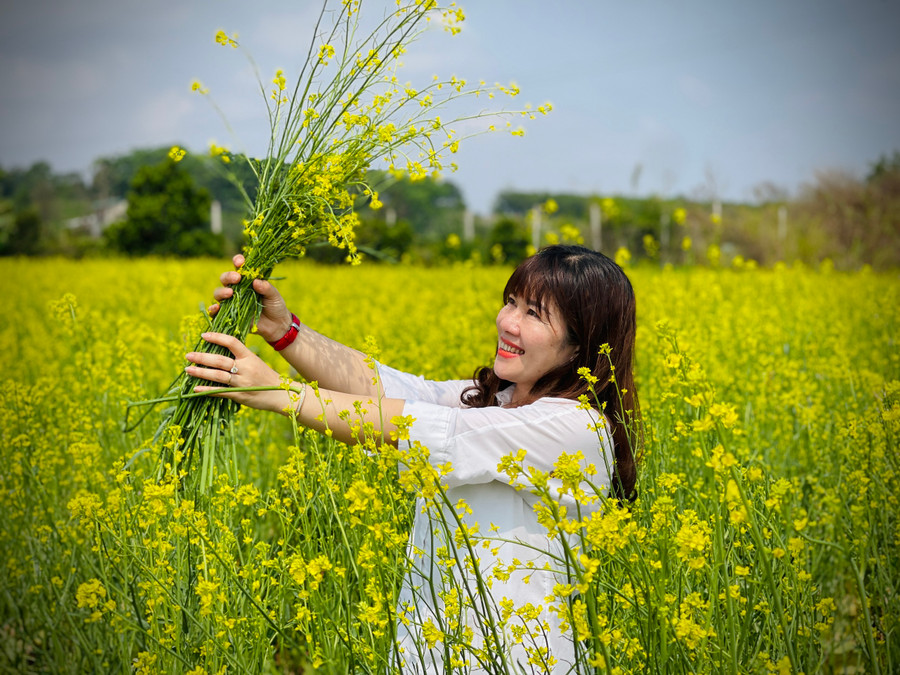 Du khách thả mình vào cánh đồng bát ngát hoa đang độ rực rỡ. Ảnh: Mai Ka Du khách thả mình vào cánh đồng bát ngát hoa đang độ rực rỡ. Ảnh: Mai Ka