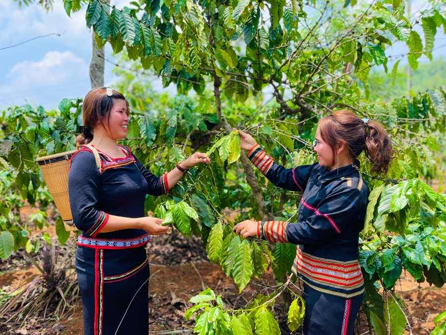 Nhiều hộ hội viên DTTS ở Chư Sê đã biết cách tiết kiệm trong cuộc sống, vươn lên thoát nghèo. Ảnh Mai Ka