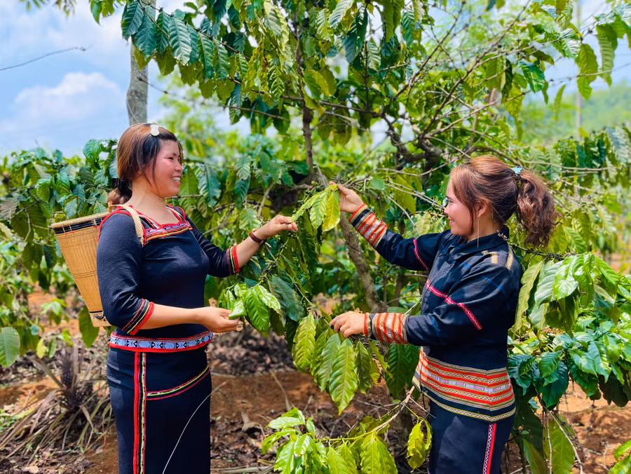 Nhiều hộ hội viên DTTS ở Chư Sê đã biết cách tiết kiệm trong cuộc sống, vươn lên thoát nghèo. Ảnh Mai Ka