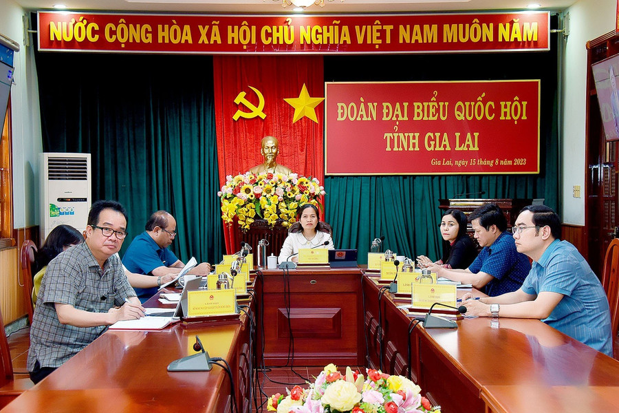 Các đại biểu tại điểm cầu tỉnh Gia Lai theo dõi phiên chất vấn và trả lời chất vấn ở lĩnh vực nông nghiệp và phát triển nông thôn. Ảnh: Đức Thụy