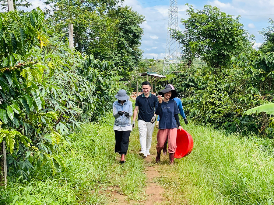 Nông trại Moon’s Coffee Farm là nơi “khởi xướng” cho loại hình tình nguyện viên trải nghiệm nông nghiệp hiện đại tại Pleiku. Ảnh: Mai Ka Nông trại Moon’s Coffee Farm là nơi “khởi xướng” cho loại hình tình nguyện viên trải nghiệm nông nghiệp hiện đại tại Pleiku. Ảnh: Mai Ka