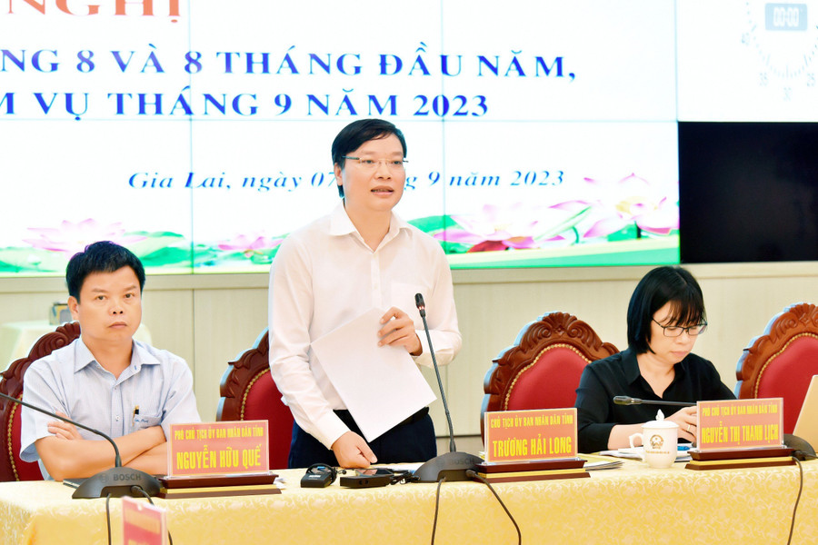 Chủ tịch UBND tỉnh Trương Hải Long phát biểu tại hội nghị. Ảnh: Đức Thụy