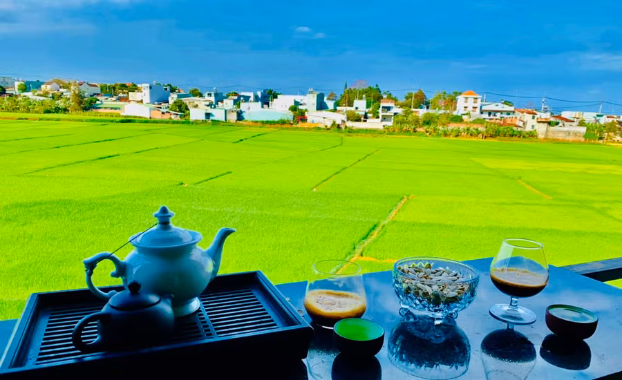 Từ cửa sổ những ngôi nhà cao tầng, cánh đồng hiện ra như bức tranh đồng quê thanh bình trong lòng phố.