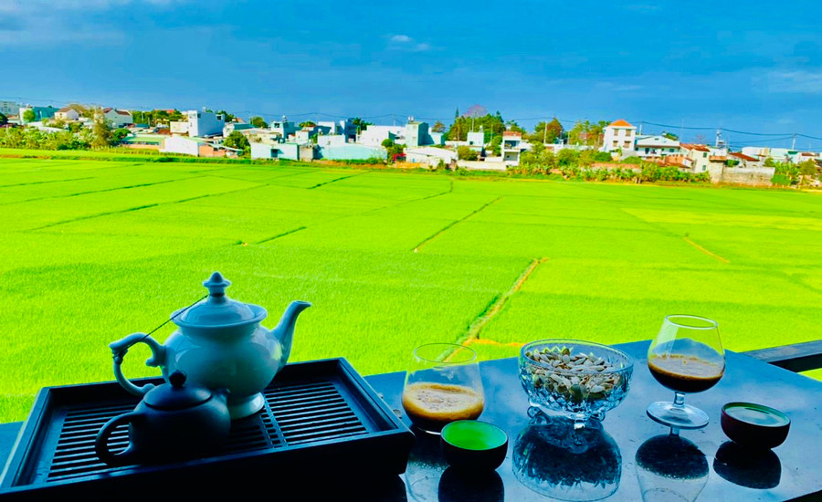 Từ cửa sổ những ngôi nhà cao tầng, cánh đồng hiện ra như bức tranh đồng quê thanh bình trong lòng phố.