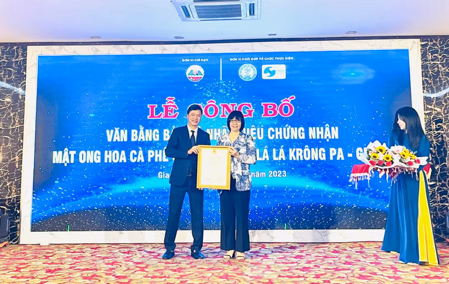 Phó Chủ tịch UBND tỉnh Gia Lai Nguyễn Thị Thanh Lịch đón nhận văn bằng bảo hộ cho các sản phẩm “Mật ong hoa cà phê Gia Lai” và “Thuốc lá lá Krông Pa-Gia Lai”. Ảnh: Trần Dung