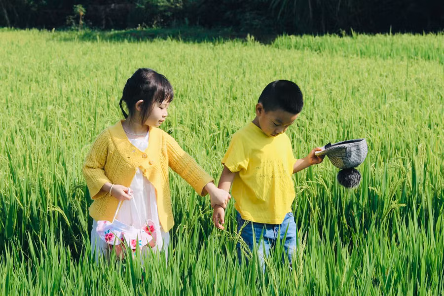 Trẻ em thỏa thích khám phá trên những cánh đồng thơm mùi sữa.