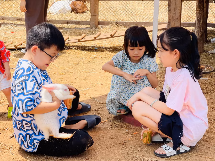 Trẻ em thích thú khám phá trong các nông trại. Ảnh: Mai Ka