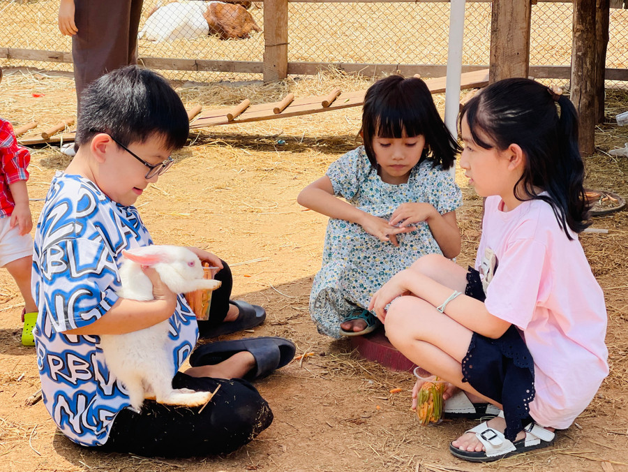 Trẻ em thích thú khám phá trong các nông trại. Ảnh: Mai Ka Trẻ em thích thú khám phá trong các nông trại. Ảnh: Mai Ka