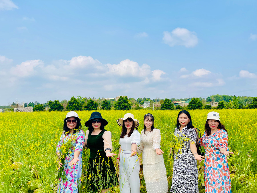 Những hình ảnh đẹp của loài hoa cải nơi vùng ngoại ô thành phố đang lan tỏa tới bạn bè gần xa. Ảnh: Mai Ka Những hình ảnh đẹp của loài hoa cải nơi vùng ngoại ô thành phố đang lan tỏa tới bạn bè gần xa. Ảnh: Mai Ka