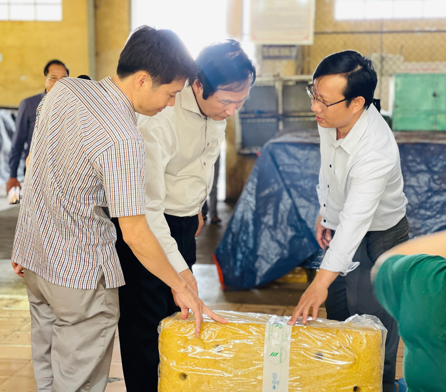 3Đoàn công tác Hội đồng Giải thưởng Chất lượng quốc gia kiểm tra hoạt động tại nhà máy chế biến mủ cao su. Ảnh: Mai Ka 3Đoàn công tác Hội đồng Giải thưởng Chất lượng quốc gia kiểm tra hoạt động tại nhà máy chế biến mủ cao su. Ảnh: Mai Ka
