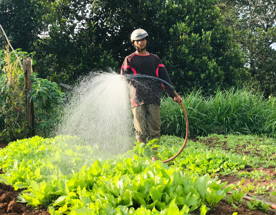 Các tổ tiết kiệm và vay vốn giúp người dân có thêm cơ hội đầu tư, nâng cao hiệu quả sản xuất. Ảnh: Trần Dung Các tổ tiết kiệm và vay vốn giúp người dân có thêm cơ hội đầu tư, nâng cao hiệu quả sản xuất. Ảnh: Trần Dung
